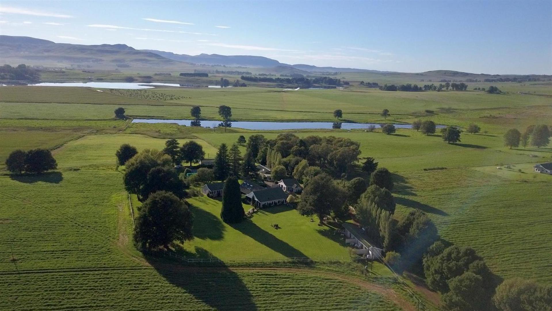 Гостевой дом Karmichael Farm Хаймвилль Экстерьер фото